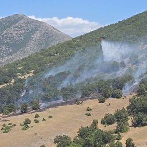 Κοζάνη: Σύλληψη 75χρόνου για τη φωτιά στο Δρέπανο