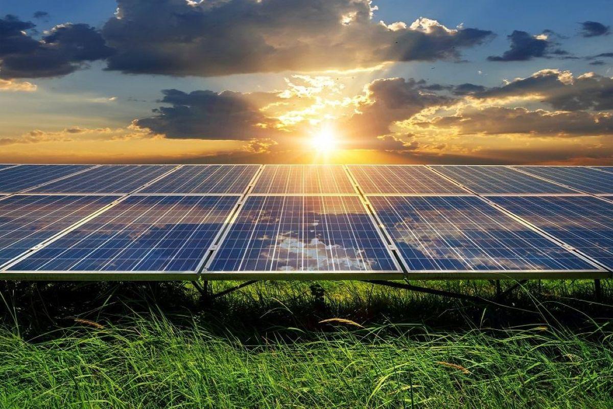 Green Power Wasted: Greece Sees Record Renewable Energy Cuts in 2025