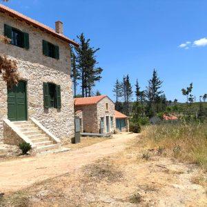 Tatoi Estate Redevelopment into Cultural Hub Advancing