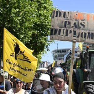 Γαλλία: Μισό εκατομμύριο υπογραφές για την απαγόρευση ενός εντομοκτόνου για τη γεωργία