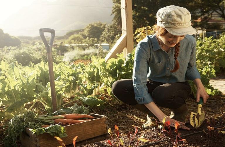 FAO: Ανοιχτή πρόσκληση για καινοτόμους νέους αγρότες