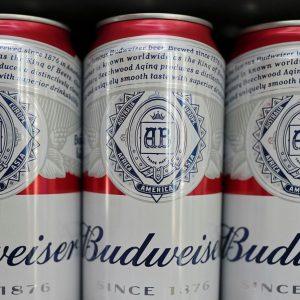Budweiser: Επένδυση 15 εκατ. δολ. της εταιρείας παραγωγής σε αμερικανικό ζυθοποιείο