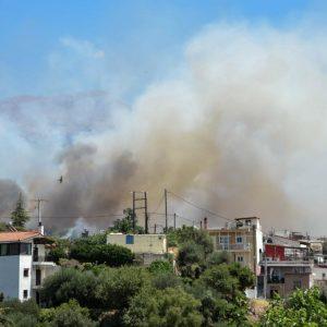 Φωτιές: Τα μέτρα για τους πυρόπληκτους – Έρχεται το «Αχαΐα Pass»