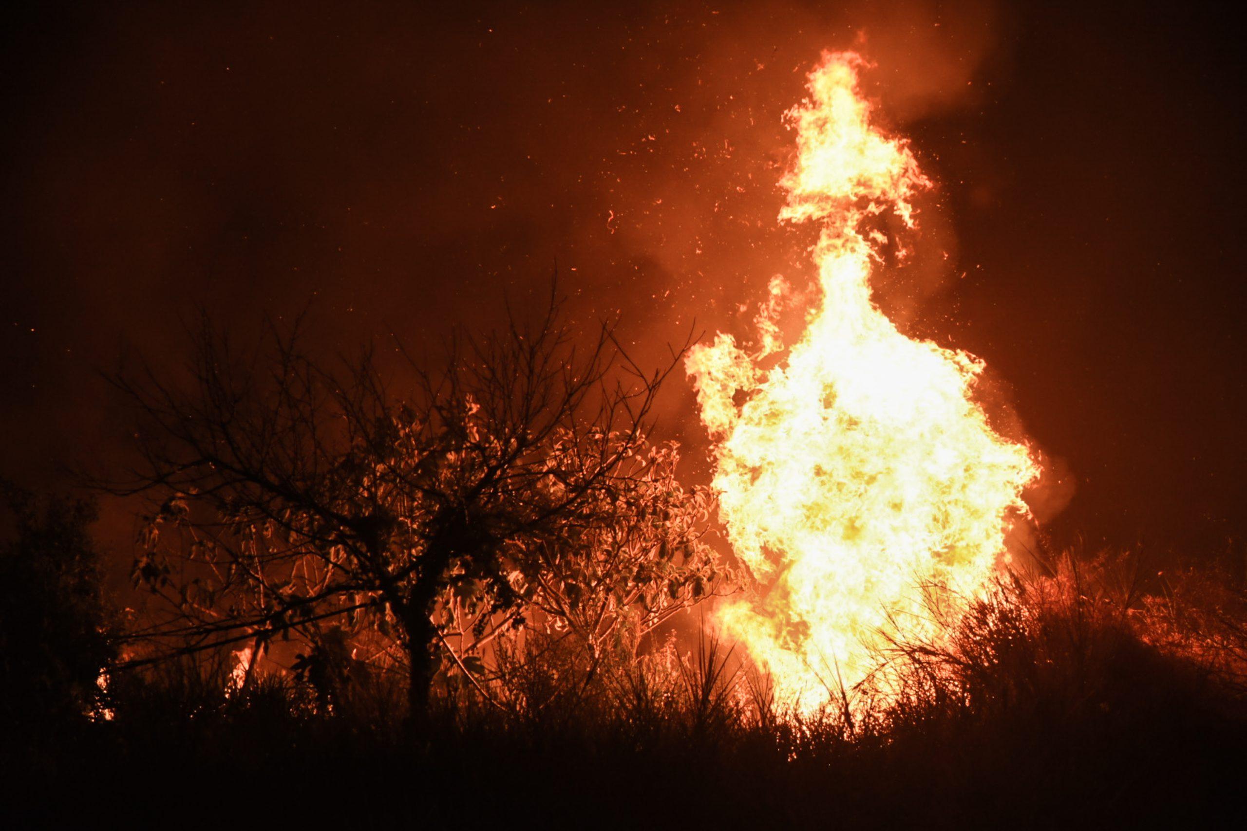 Emergency Response by Power Grid Operator in Face of Wildfires