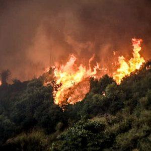 Κλιματική κρίση: Οι αγρότες αγωνίζονται να προσαρμοστούν στη Νότια Ευρώπη