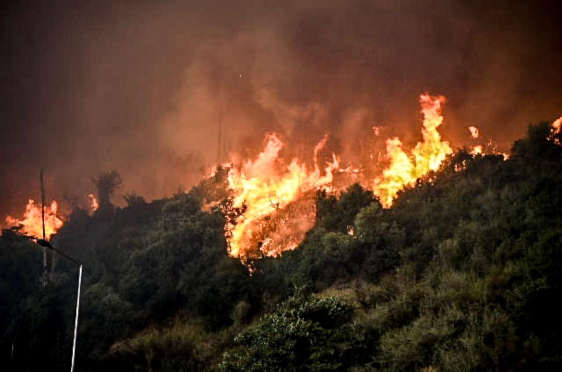 Μύθοι και μία αλήθεια για τις φωτιές