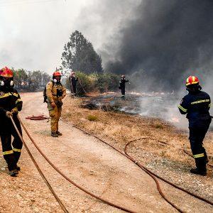 ΑΑΔΕ: Ολοσχερής καταστροφή στα οχήματα, που φυλάσσονται στο Τελωνείο Πάτρας