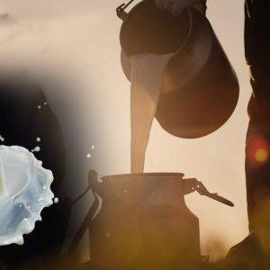 Arla Foods: Επένδυση €50 εκατ. για την ενίσχυση της παραγωγής τυριού κρέμα στο Μπαχρέιν