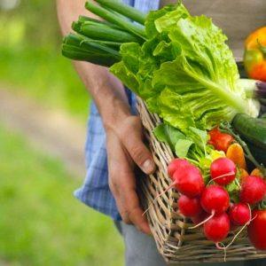 Crackdown on Fake Organic Certifications in Greece Begins with Fines