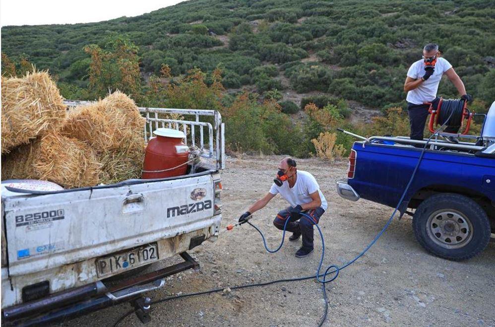 Θεσσαλία: Απολυμάνσεις οχημάτων για τoν περιορισμό της εξάπλωσης της ευλογιάς