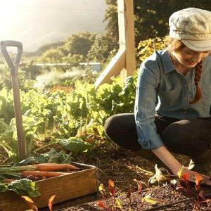 UN’s FAO to Recognize Innovation Among Young Farmers
