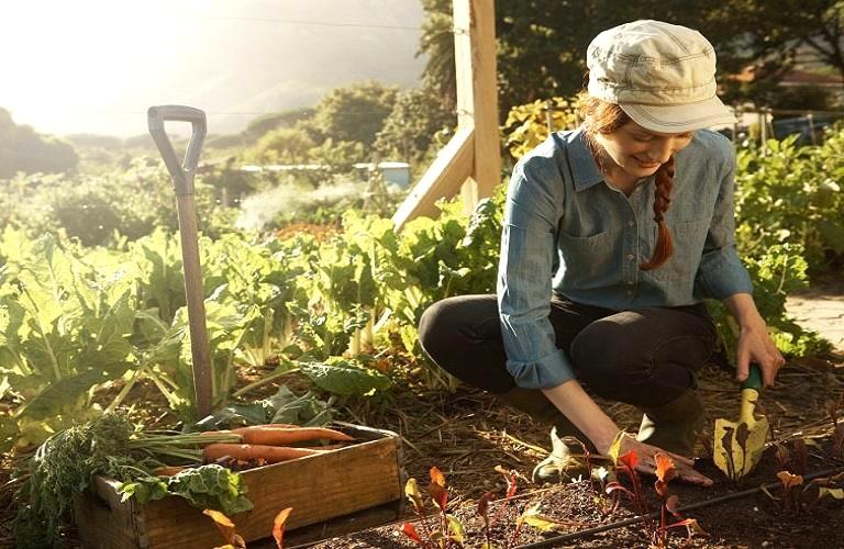 UN’s FAO to Recognize Innovation Among Young Farmers