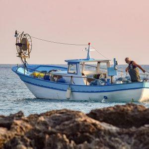 ΠΓΕ: Με «ταυτότητα» η σαρδέλα και η γαρίδα Αμβρακικού