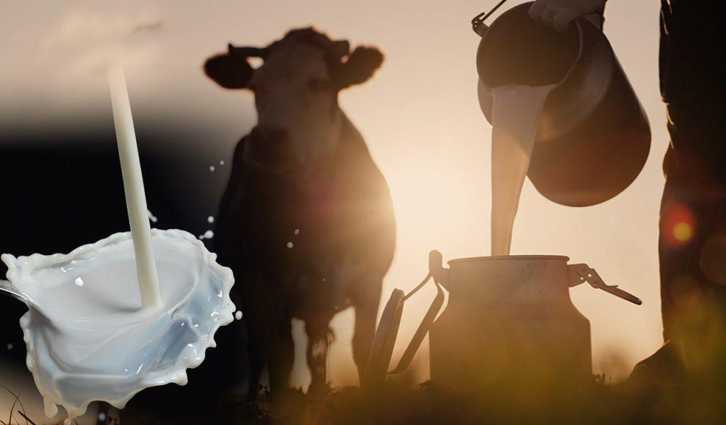 ΕΛΣΤΑΤ: Ανοδική πορεία για τις τιμές εισροών και εκροών στη γεωργία – κτηνοτροφία