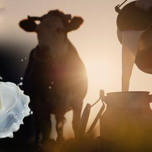 ΕΛΣΤΑΤ: Ανοδική πορεία για τις τιμές εισροών και εκροών στη γεωργία – κτηνοτροφία