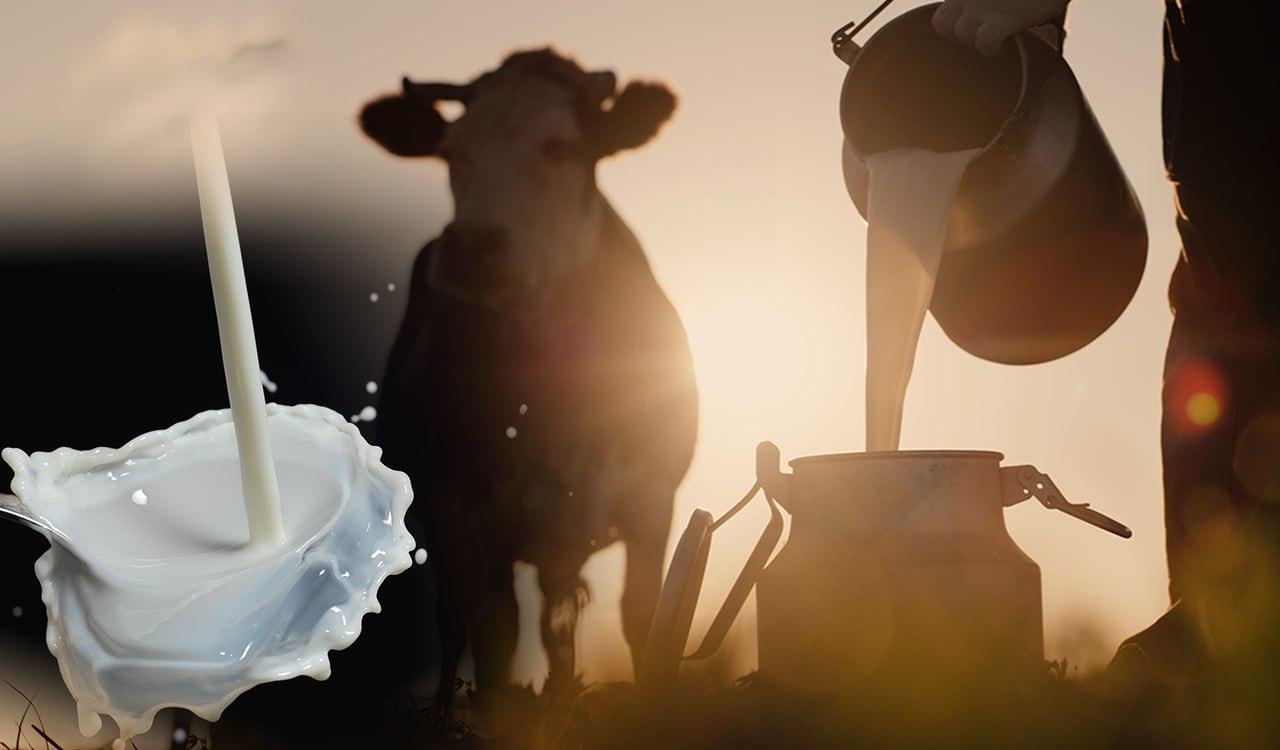 ΕΛΣΤΑΤ: Ανοδική πορεία για τις τιμές εισροών και εκροών στη γεωργία – κτηνοτροφία