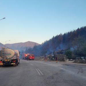 Ήπειρος: Συνδρομή στο πυροσβεστικό σώμα