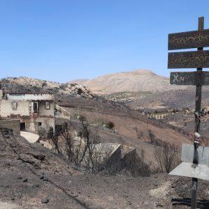 Fires South East of Athens Leave Scenes of Devastation