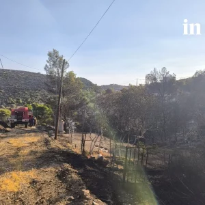 Φωτιά: Σε ύφεση το πύρινο μέτωπο στην Κερατέα – Μάχη με τις αναζωπυρώσεις