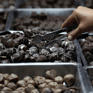 Κακάο: Η τιμή του πέφτει αλλά η σοκολάτα ειναι ακόμα ακριβή