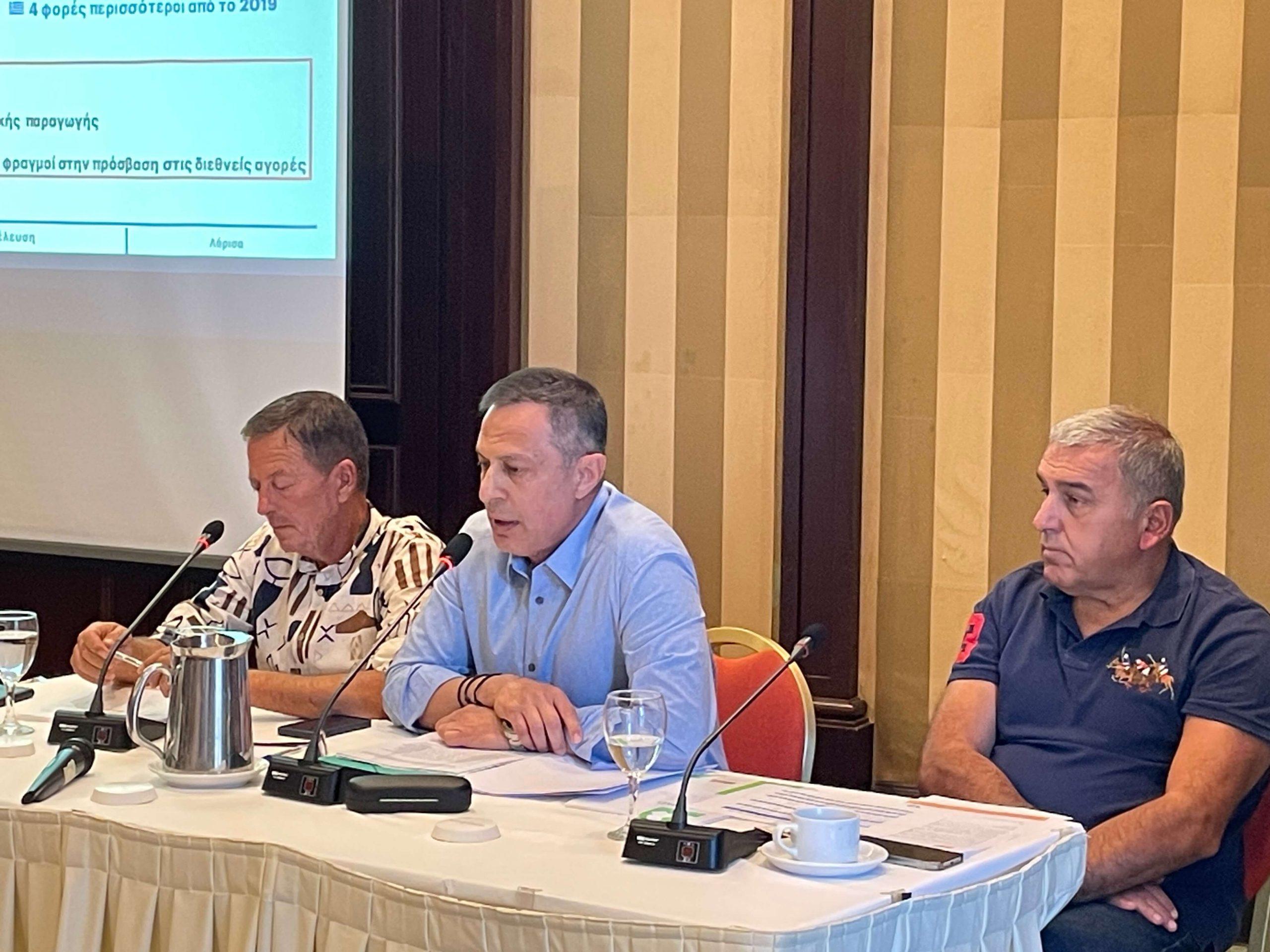 ΠΕΜΕΤΕ: Τα νέα στοιχήματα της επιτραπέζιας ελιάς – Οι ευκαιρίες και οι προκλήσεις