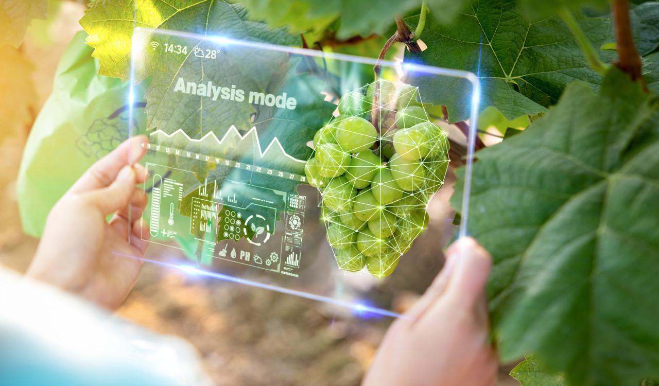 ΚΑΠ: Τα big data και η «πράσινη» μετάβαση – Ευκαιρία ή νέα επιβάρυνση για τους αγρότες;