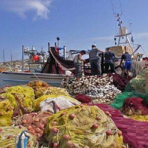 Αλιεία: Πτώση κατά 11,3% στην παραγωγή αλιευμάτων το 2024