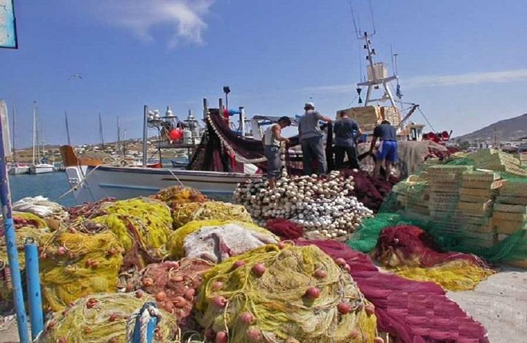 Αλιεία: Πτώση κατά 11,3% στην παραγωγή αλιευμάτων το 2024