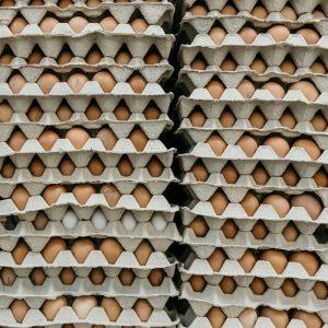 Experts Dismiss Egg Contamination Fears in Greece