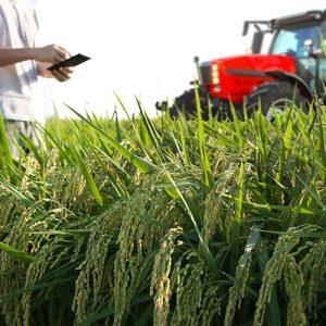 Στερεά Ελλάδα: «Έξυπνα» εργαλεία για αγρότες και κτηνοτρόφους
