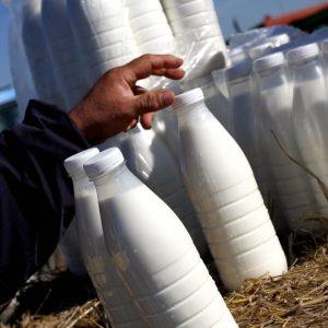 Ευλογιά προβάτων: Κίνδυνος ανατιμήσεων σε γαλακτομικά προϊόντα