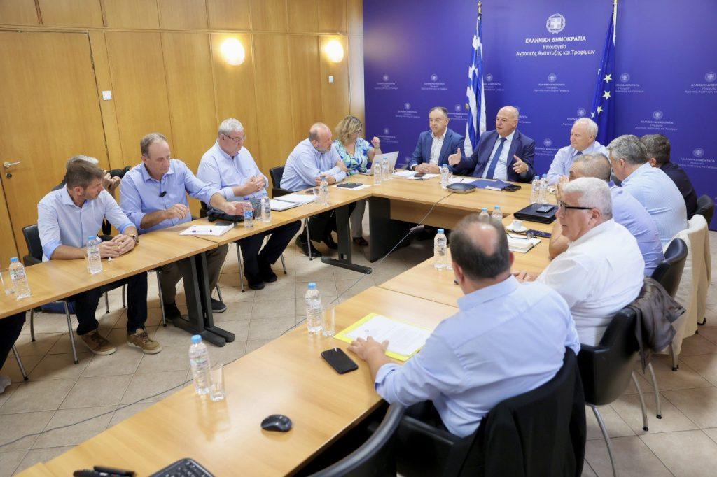 Ευλογιά προβάτων: Περισσότερες από 55.000 θανατώσεις ζώων τον Αύγουστο