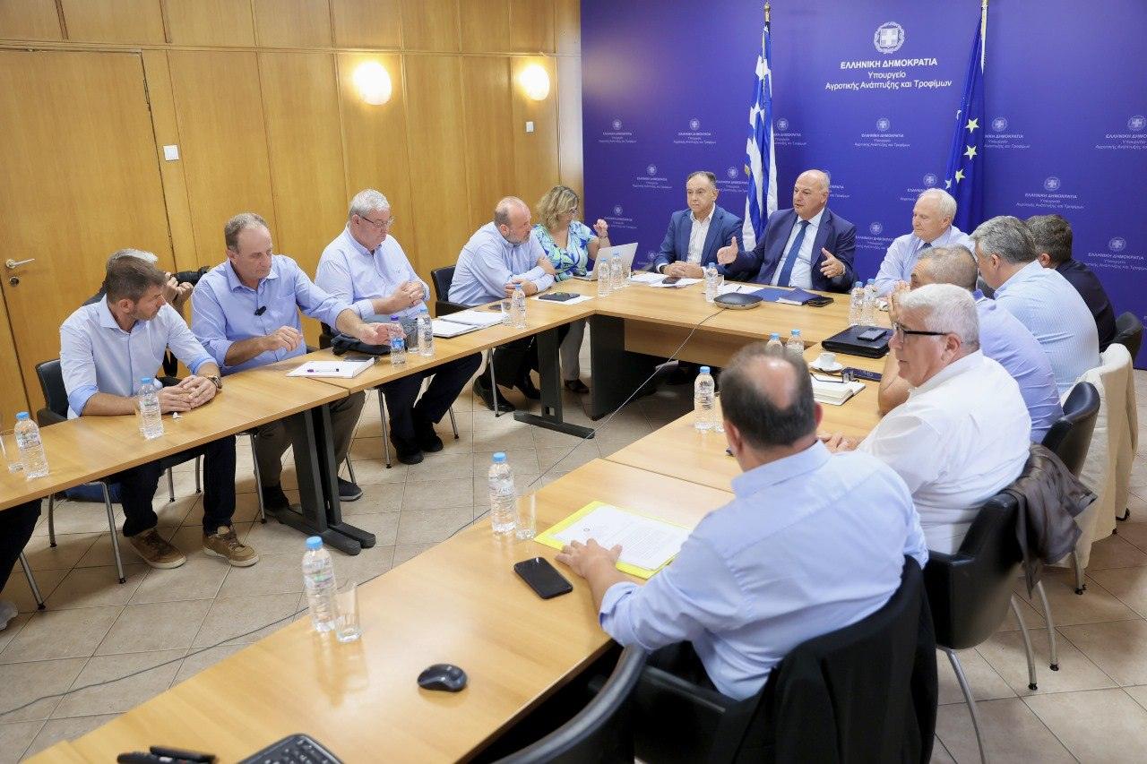 Ευλογιά προβάτων: Περισσότερες από 55.000 θανατώσεις ζώων τον Αύγουστο