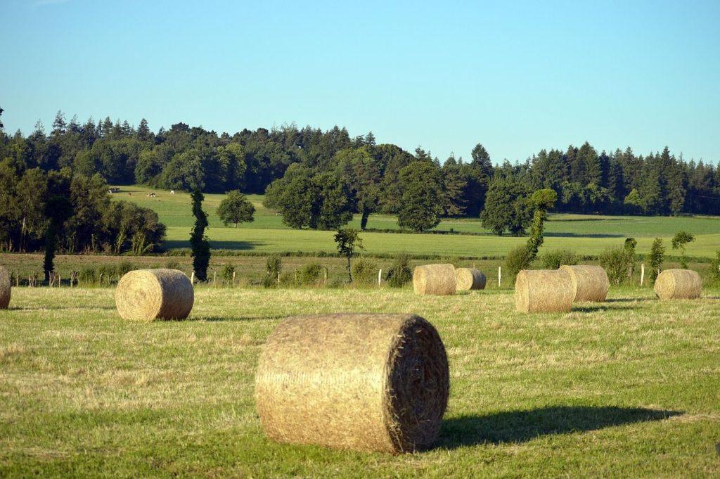 ΑΑΔΕ: Πώς δηλώνονται τα μη ιδιοχρησιμοποιούμενα αγροτεμάχια έως 20 στρέμματα