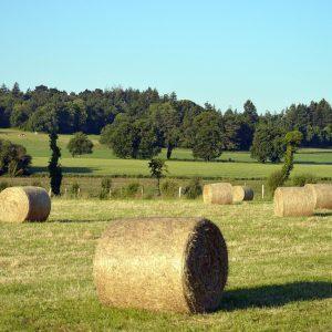 ΑΑΔΕ: Πώς δηλώνονται τα μη ιδιοχρησιμοποιούμενα αγροτεμάχια έως 20 στρέμματα