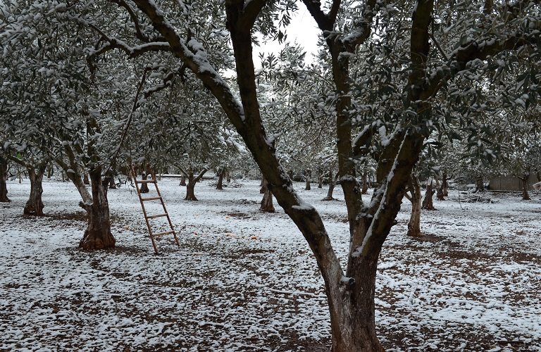 Αγρότες: Χωρίς ασφαλιστικό «δίχτυ προστασίας» – Τι αποκαλύπτει έρευνα