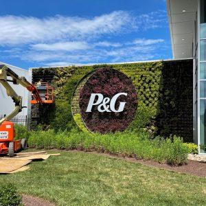 Procter & Gamble: Ξεπέρασε τις εκτιμήσεις – Ανθεκτική ζήτηση σε καλλυντικά και περιποίηση μαλλιών