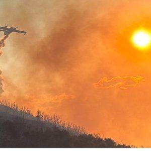ΕΑΕΕ: Σε 8,85 εκατ. ευρώ εκτιμώνται οι αποζημιώσεις για τις δασικές πυρκαγιές του 2025