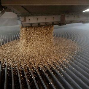 ΗΠΑ: Στήριξη στους παραγωγούς σόγιας υπόσχεται ο Μπέσεντ