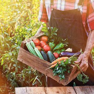 Από τους «τυφλούς» στους έξυπνους ελέγχους τροφίμων