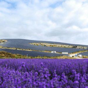 Apple-HELLENiQ Strategic Wind Farms Deal