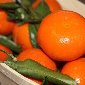 Εξαγωγές: Χαμηλές πτήσεις για τα εσπεριδοειδή