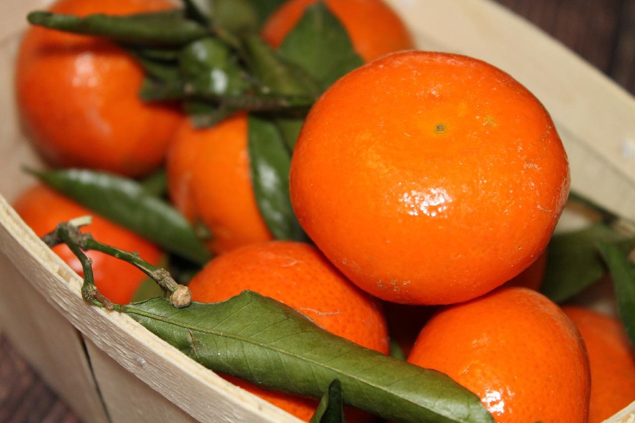 Εξαγωγές: Χαμηλές πτήσεις για τα εσπεριδοειδή