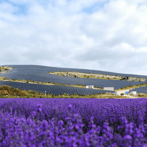 Apple: Η συμφωνία με HELLENiQ ENERGY και η «πράσινη» επέλαση στην Ευρώπη