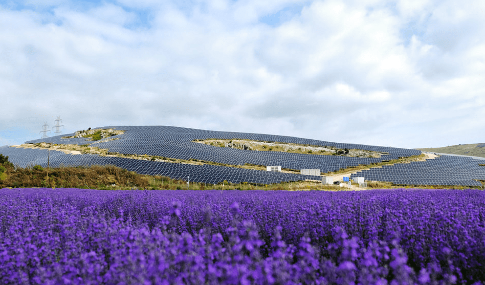 Apple: Η συμφωνία με HELLENiQ ENERGY και η «πράσινη» επέλαση στην Ευρώπη