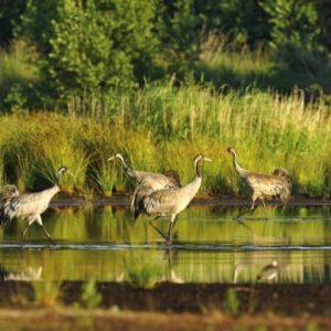 Περιοχές Natura: «Γκρίζες ζώνες» για επενδυτές και τοπικές κοινωνίες