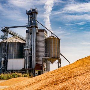 Πειραιώς: Ενισχυμένος ο δείκτης τιμών των αγροτικών προϊόντων τον Οκτώβριο