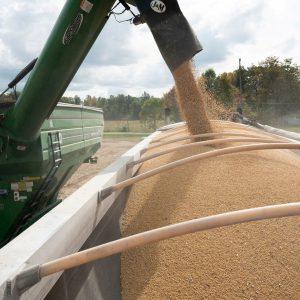 Σόγια: Μοχλός πίεσης για την Κίνα στον εμπορικό πόλεμο με ΗΠΑ