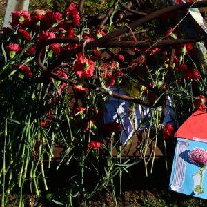 Πολυτεχνείο: Κυκλοφοριακές ρυθμίσεις και αυστηρά μέτρα ασφαλείας