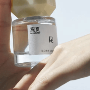 Κίνα: Γιατί οι Κινέζοι επιλέγουν εγχώρια πολυτέλεια αντί για δυτικούς οίκους